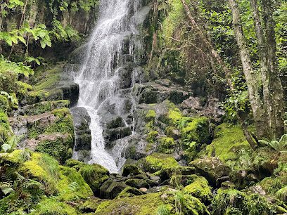 Fervenza de Torez en Lugo