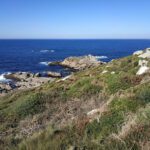 Ruta do Percebe de Laxe en A Coruña