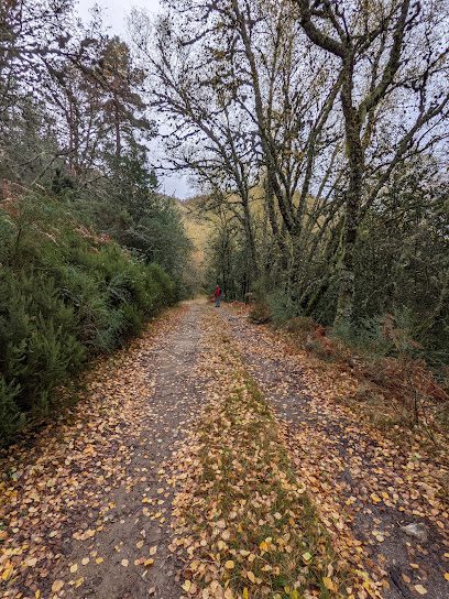 PR-G 182 Ruta do Bidueiral de Gabín en Ourense