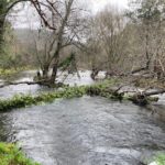 Senda del Rio Maneses en Pontevedra