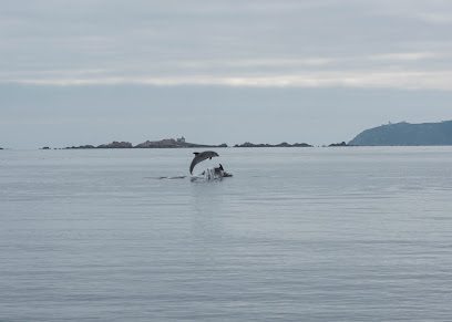 Navega Finisterre en A Coruña