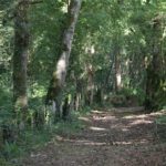 As Ínsuas do Miño en Lugo