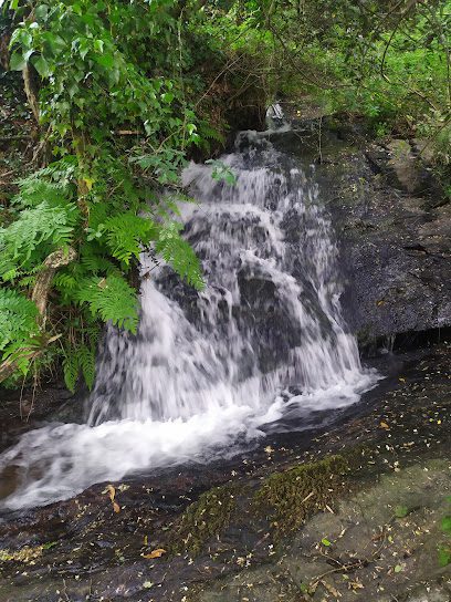 Parque Etnográfico Fonte e Muíños do Regueiro en Pontevedra