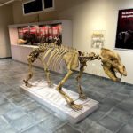 Museo Geológico en Lugo