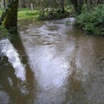 Río Caselas en Pontevedra