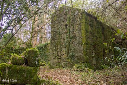 A Sinada en Pontevedra