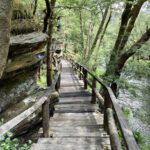 Ruta do Santo do Rio Arnoia en Ourense