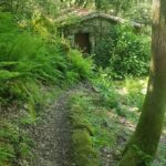 Camino Natural Carballeda de Avia en Ourense