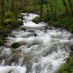 LA RIBEIRA SACRA en Lugo