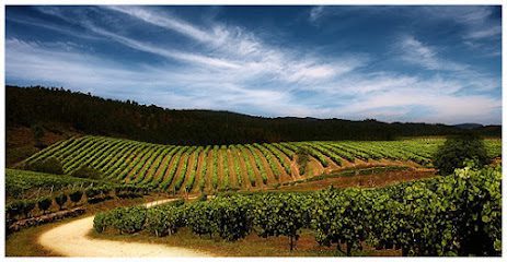 Bodegas Terras Gauda en Pontevedra
