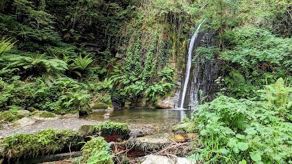 Fervenza Salto do Coro en Lugo