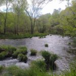 Senda fluvial do río Tea en Pontevedra