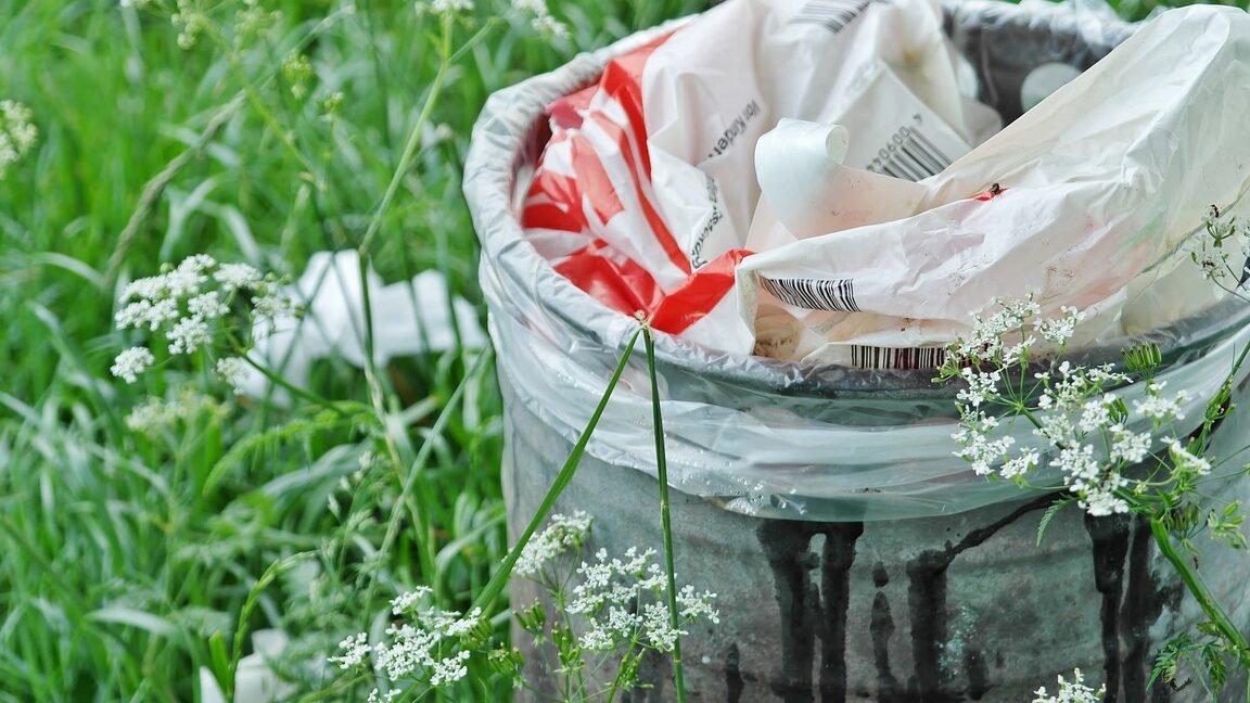 Cuáles son los efectos nocivos del turismo en el medio ambiente