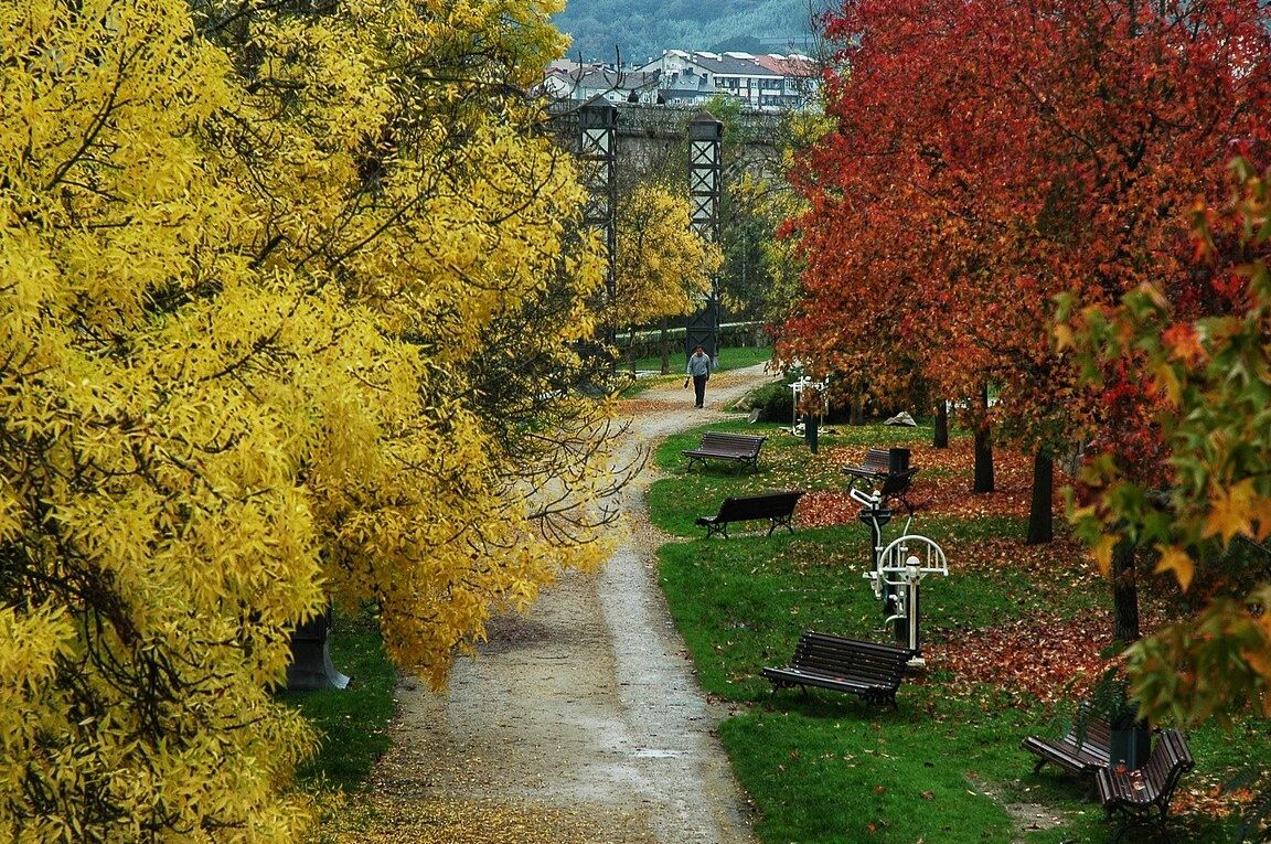 Ecoespazo O Rexo en Ourense