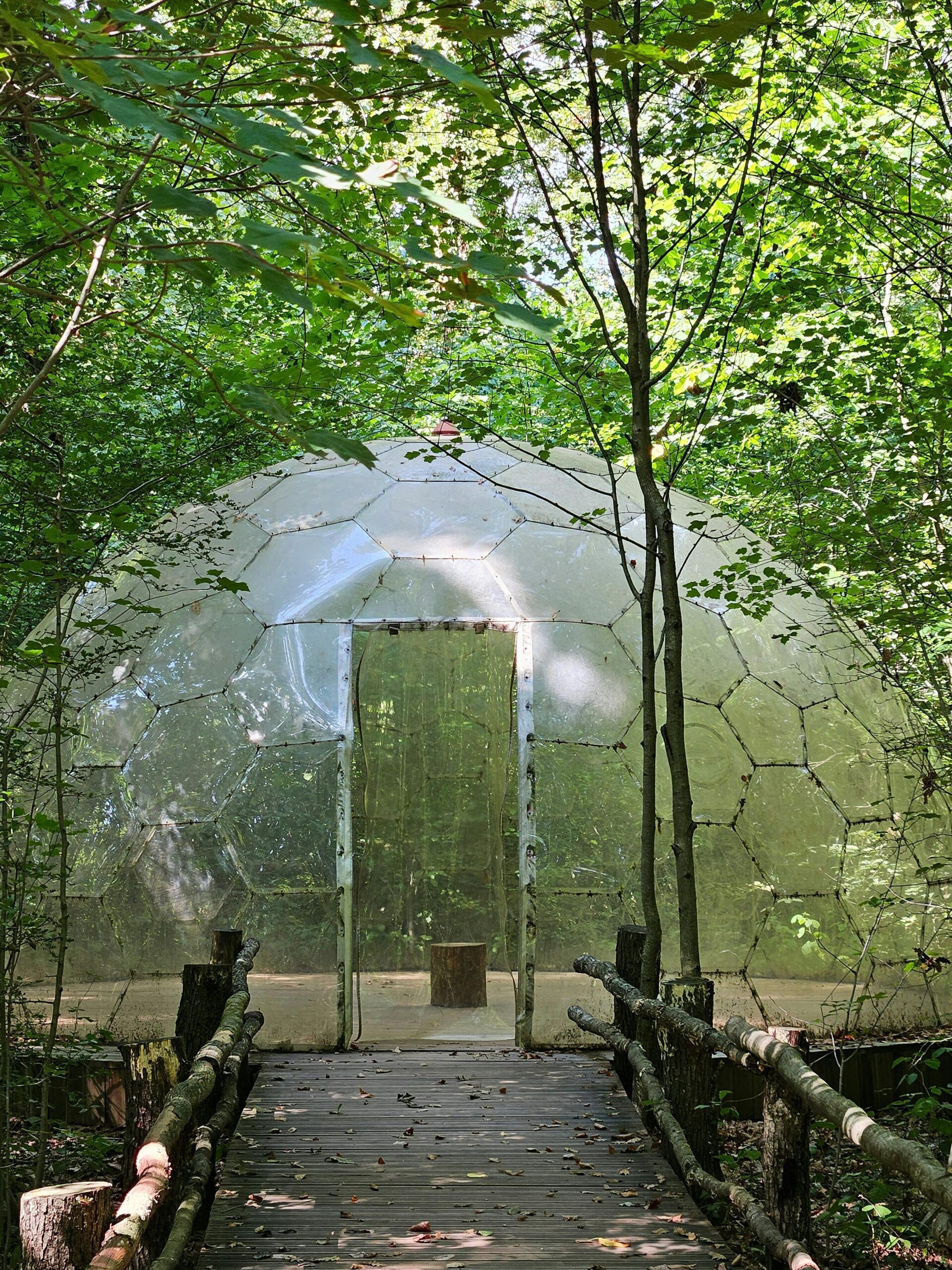 Ecoturismo cultural: una alternativa sostenible para explorar comunidades
