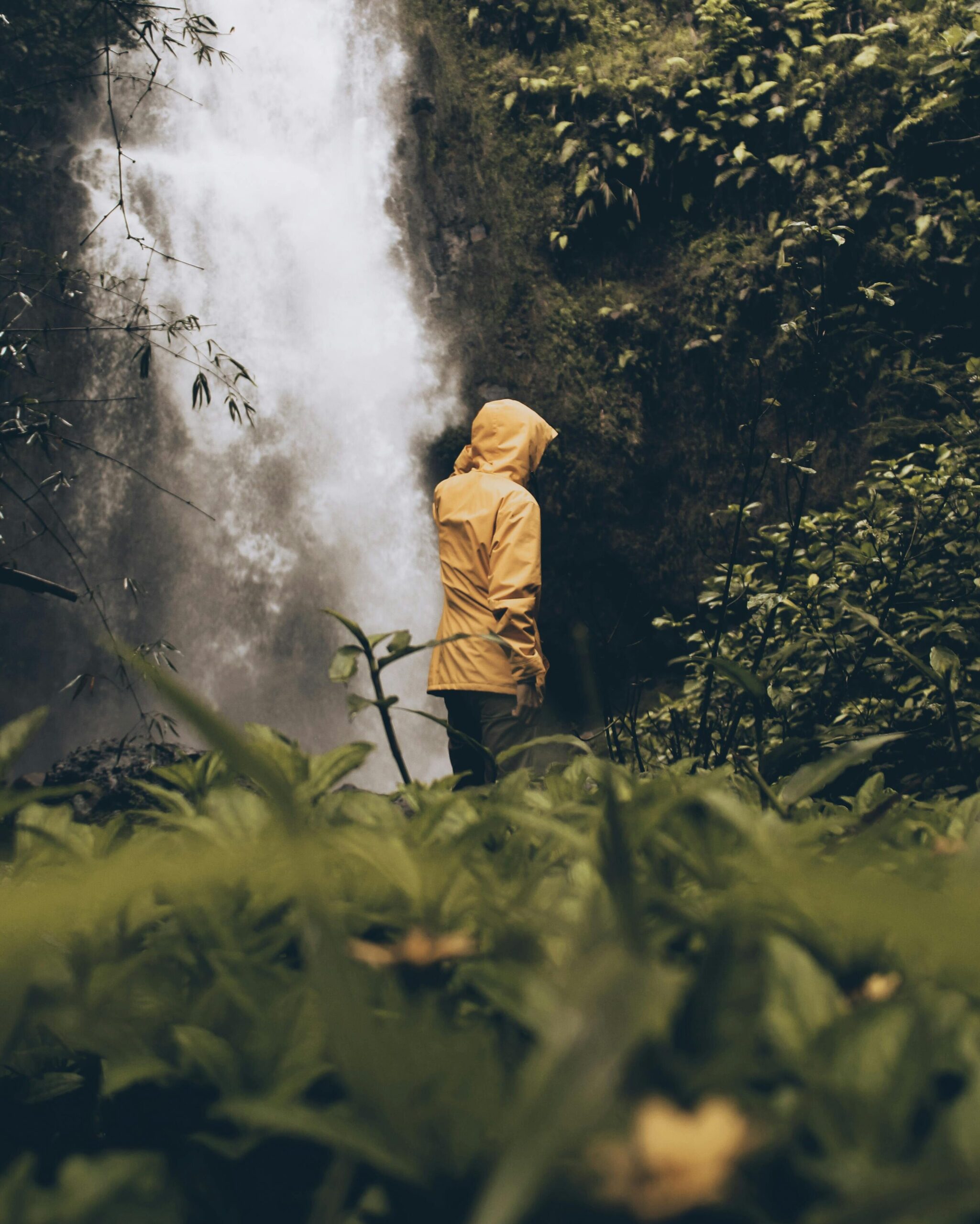 Ecoturismo en selvas tropicales: experiencias y beneficios