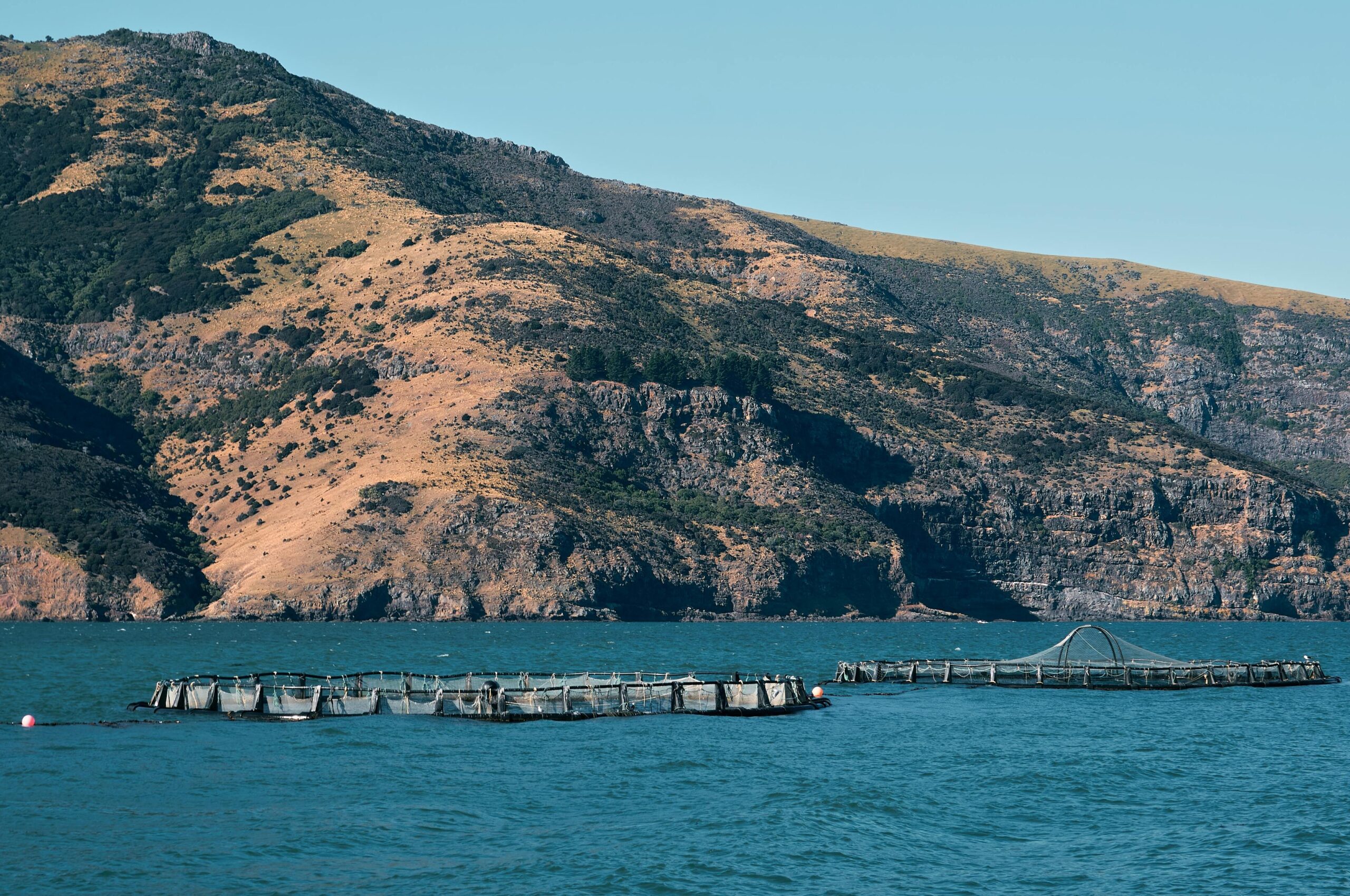 Ecoturismo marino: explorando la sostenibilidad en los océanos