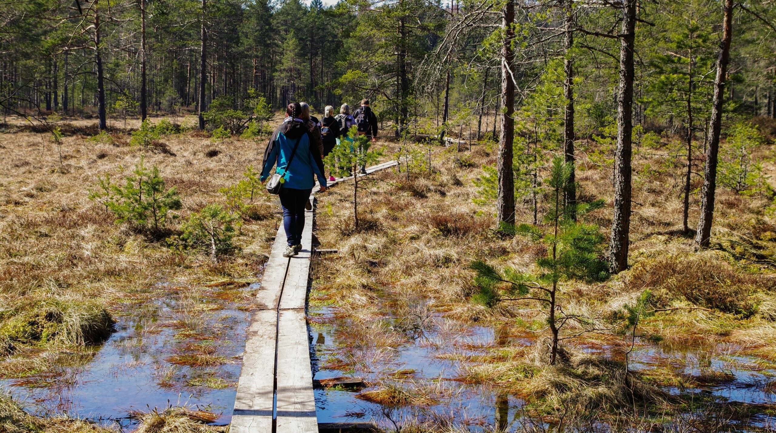 Ecoturismo y deportes de aventura: una guía completa