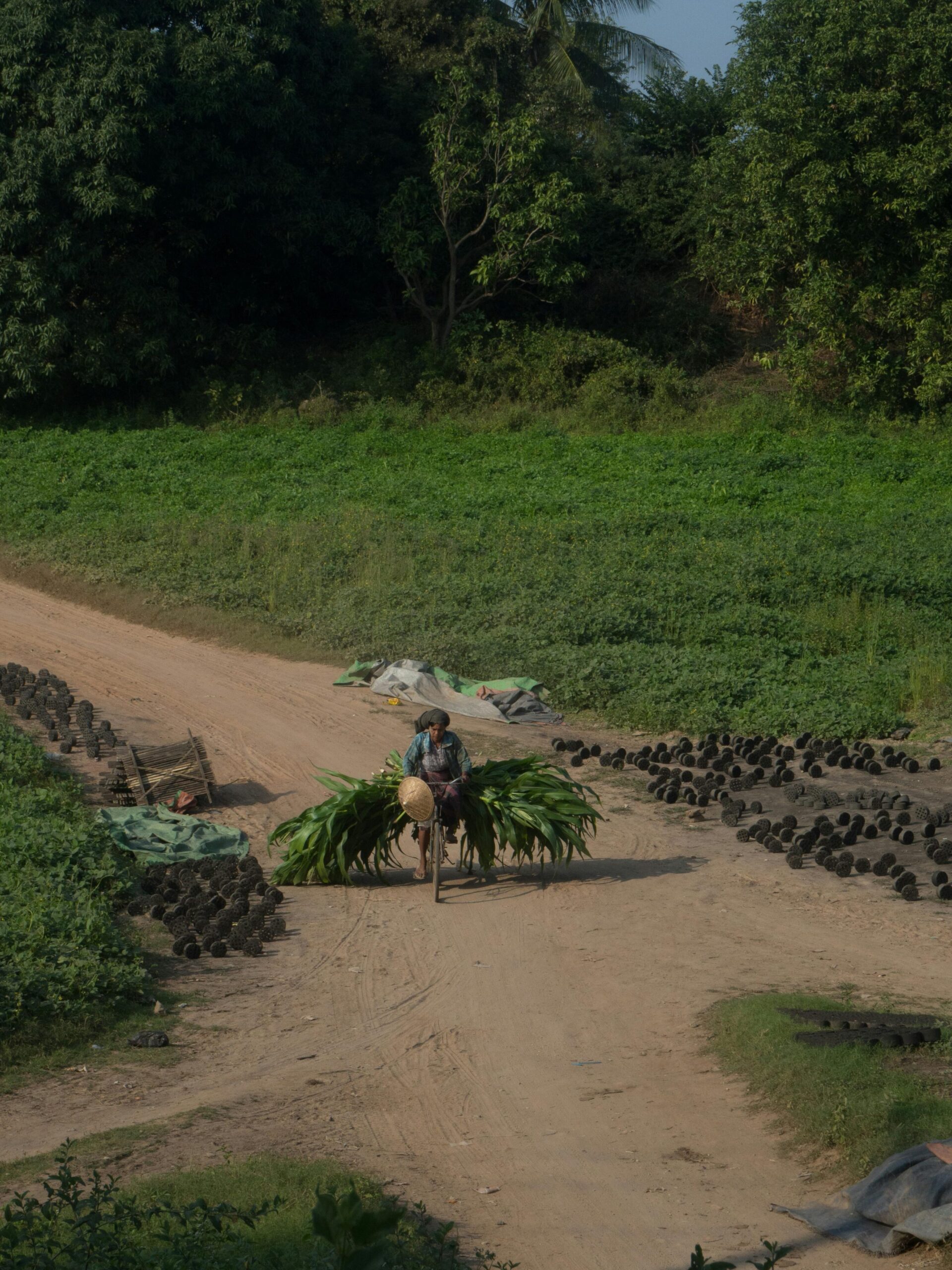 Ecoturismo y pueblos indígenas: beneficios y oportunidades