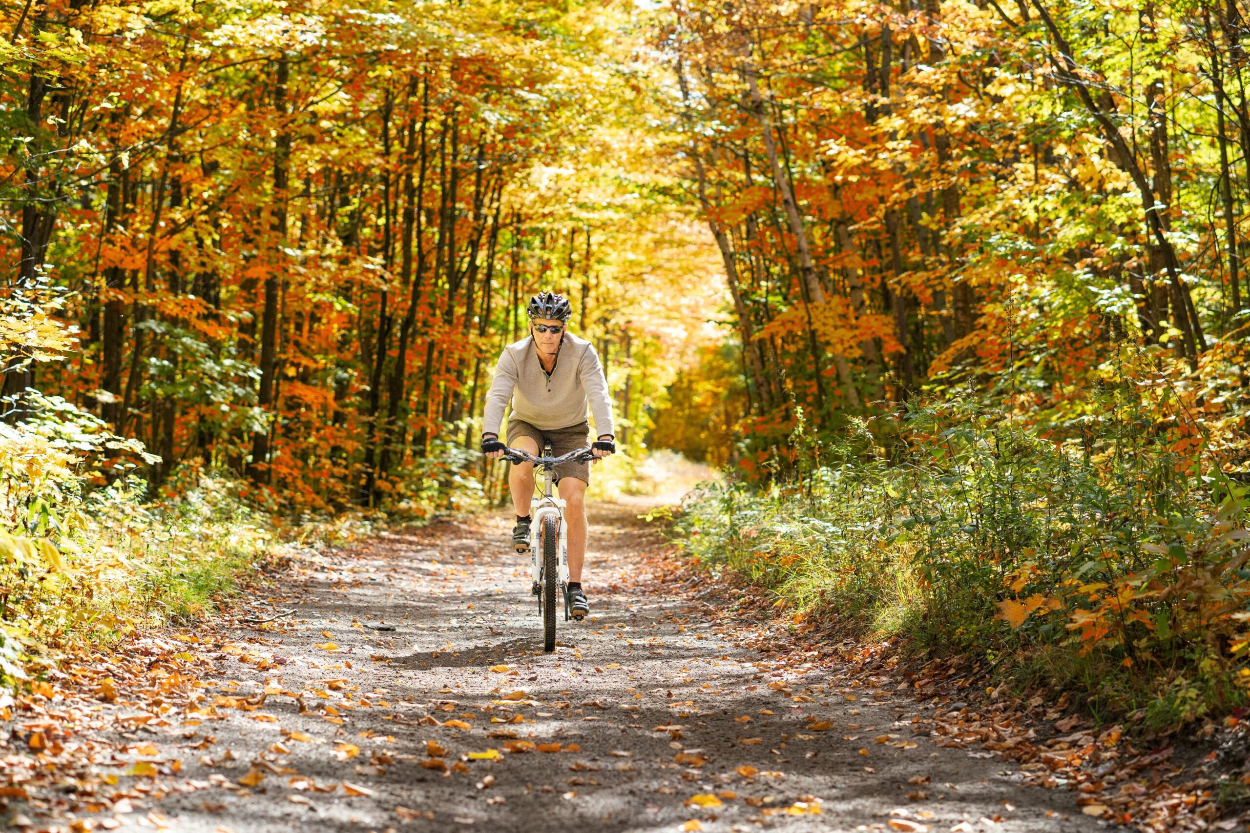 Rutas ecológicas en bicicleta en Galicia: descubre la naturaleza