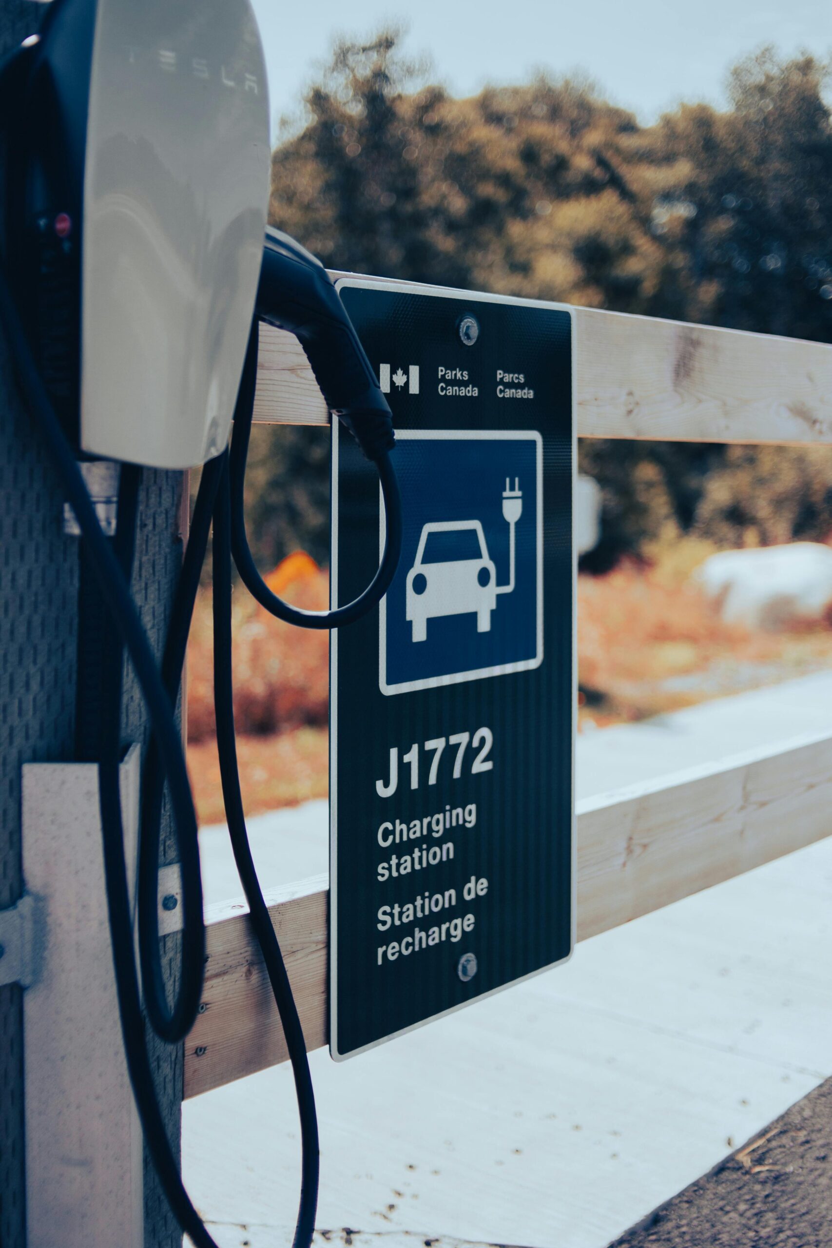 Tecnología y ecoturismo: el futuro del turismo sostenible