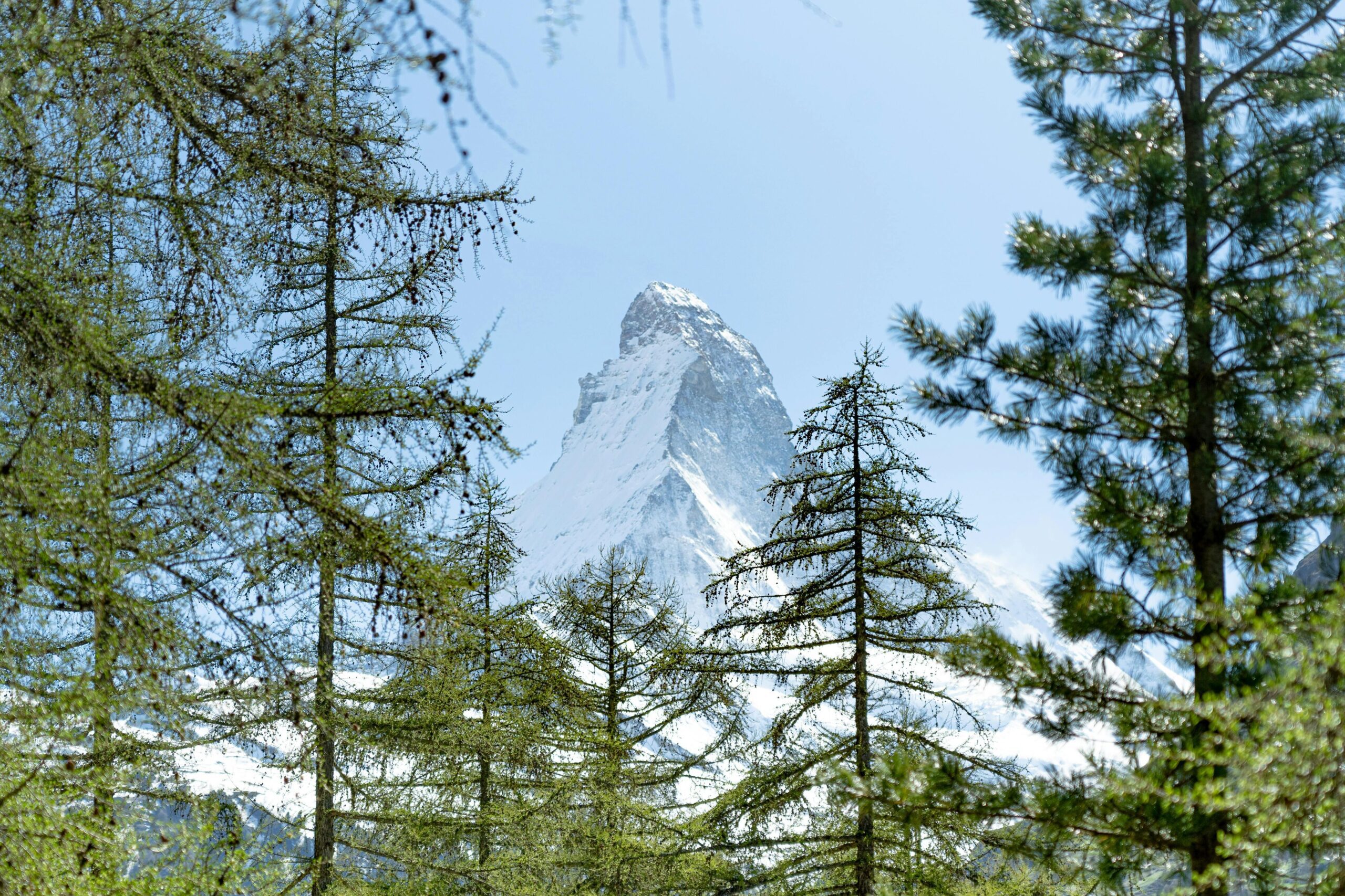 Turismo responsable vs ecoturismo: diferencias clave
